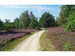 Vakantiepark Markelo Omgeving 22