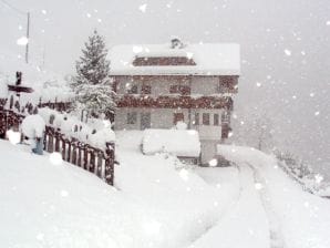 Ferienwohnung Dolomiten - Kiens - image1