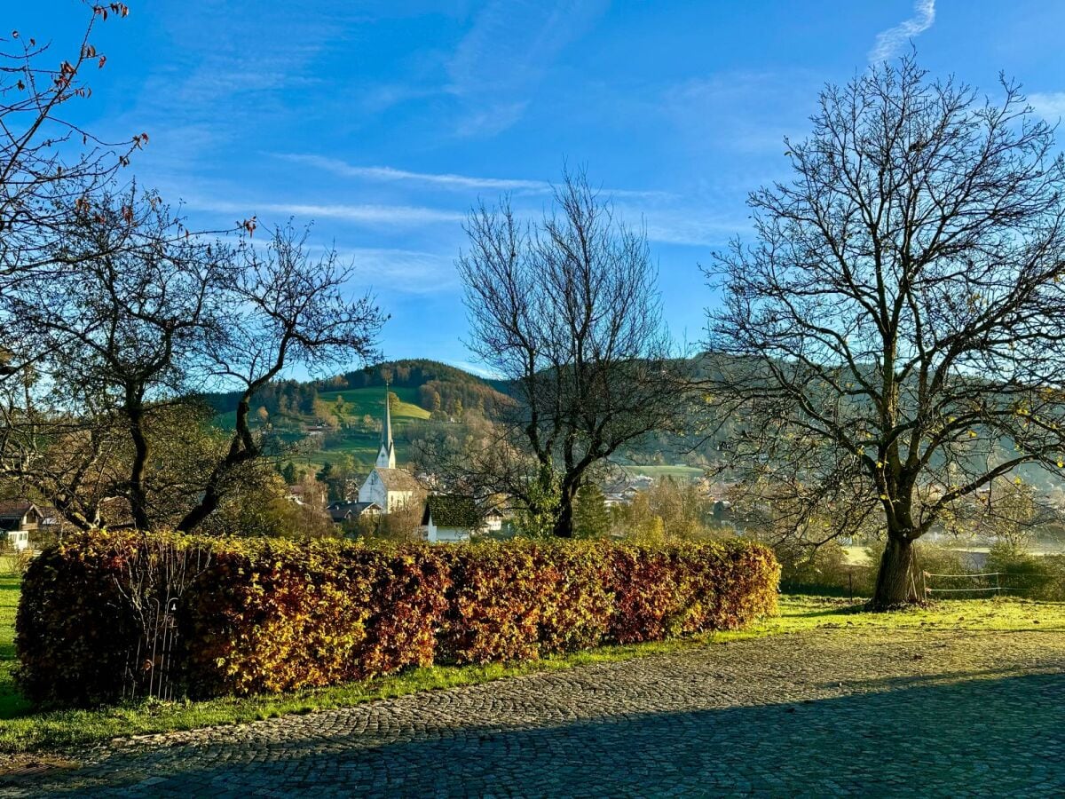 Herbstsonne am Alpenrand