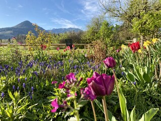 Organic farm Schliersee Outdoor Recording 1