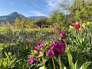 Organic farm Schliersee Outdoor Recording 4
