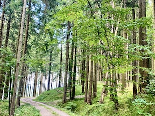 Münchenbummel oder absolute Stille, beides ist ganz nah