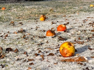 Stressfreie Wintertage