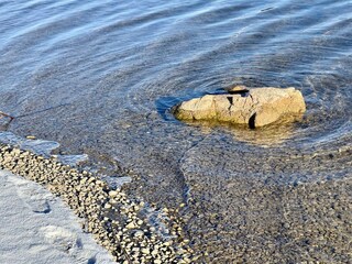 Organic farm Schliersee Environment 38