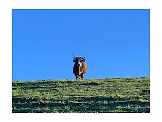 Farmhouse Schliersee Document 42