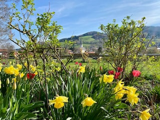 Ideal für E-Bike oder Wandertouren