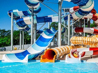 Casa per le vacanze Buje Documento 23