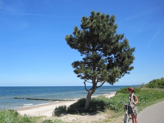 der helle feinsandige Strand ist wirklich sehr schön...