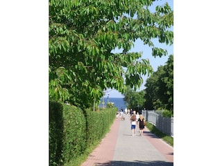 der Weg zum Strand