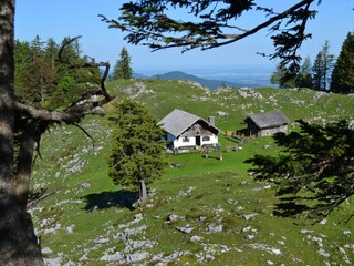 Kohleralm mit Blick zum Chiemsee