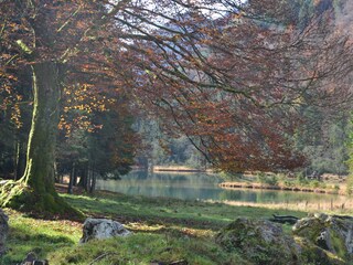 Naturschutzgebiet Falkensee