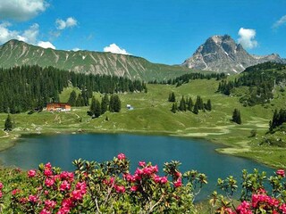 Appartamento per vacanze Schröcken Ambiente 23