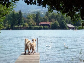 Vakantiehuis Faak am See Omgeving 9