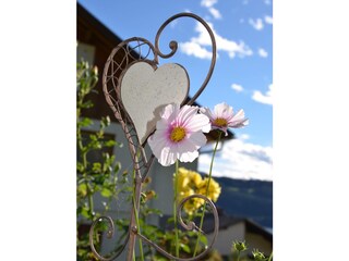 Appartamento per vacanze Millstatt Ambiente 18