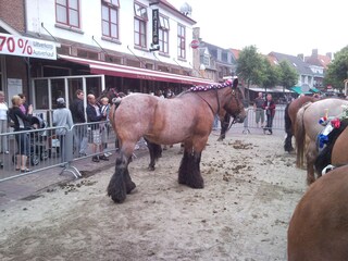 Casa per le vacanze Domburg Ambiente 19