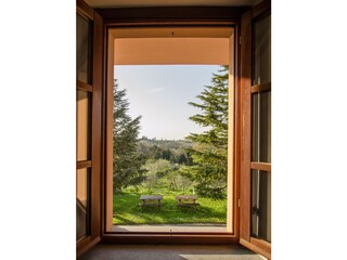 Appartement Terricciola Buitenaudio-opname 9