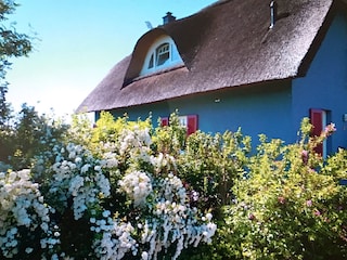 Toller eingewachsener Garten mit Fernblick