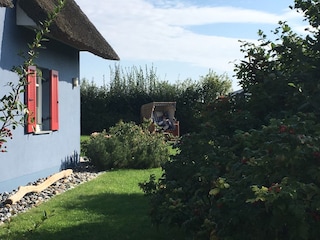 Blick durch den Garten - Entspannen im Strandkorb