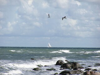 Großsteinstrand