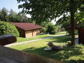 Kaja im Schatten der Linde