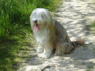 Kaja im Ferienpark