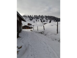 Vakantiehuis Brandenberg (Tirol)  23