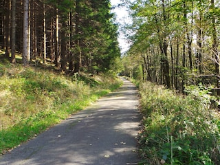 Wanderweg hinter unserem Haus