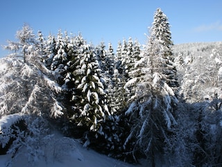 Ferienwohnung Hinterzarten Umgebung 10