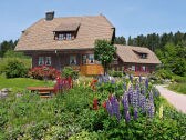 Kienberg House and Hohenried House