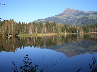 Swimming in lake Moorsee