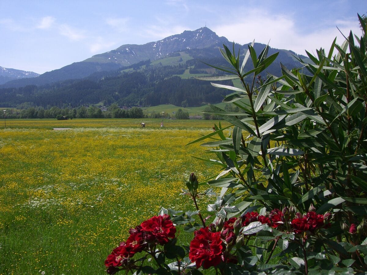 Ferienwohnung St. Johann in Tirol Umgebung 24