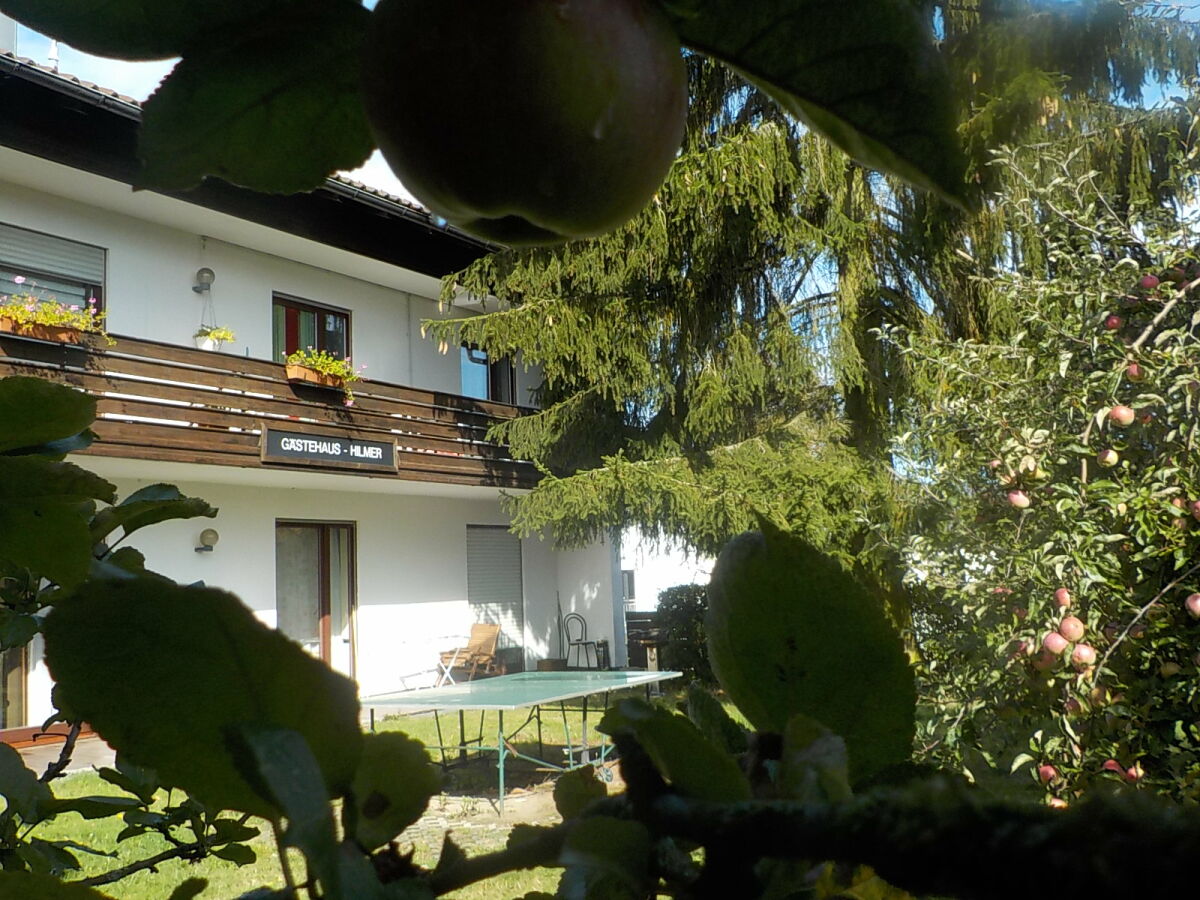 Blick auf die Terrasse im Sommer