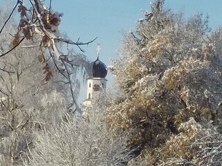 Holiday apartment Konzell Environment 24