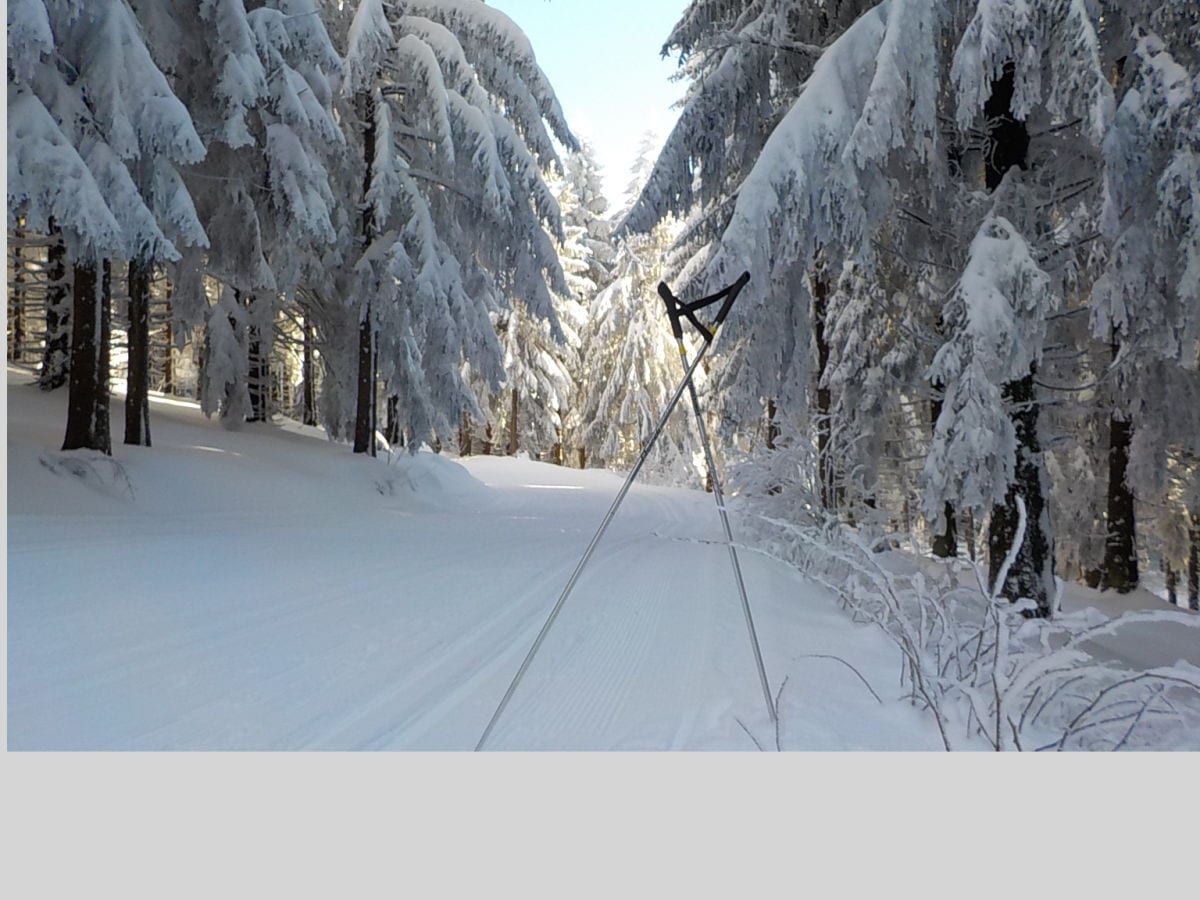 Prepared slope to the Hirschenstein