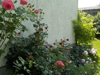 Holiday apartment Konzell Outdoor Recording 3