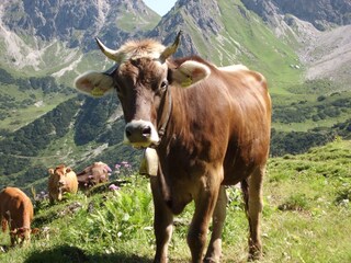 Appartamento per vacanze Mittelberg Ambiente 17