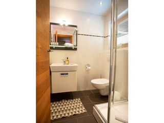 Appartamento per vacanze Mittelberg Caratteristiche 14