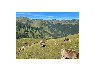 Appartamento per vacanze Mittelberg Ambiente 18