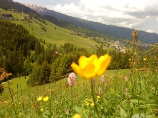 Vakantieappartement Mittelberg Omgeving 19