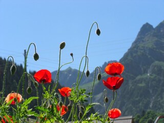 Appartamento per vacanze Mittelberg Ambiente 21