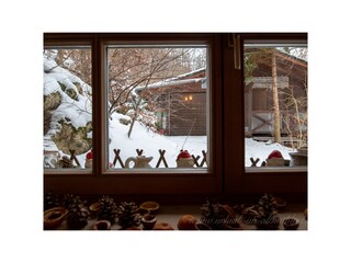 Blick auf den Holzschuppen