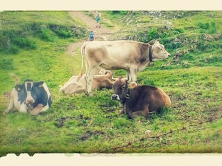 Appartamento per vacanze Riezlern Ambiente 16