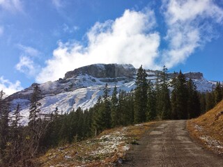 Appartamento per vacanze Riezlern Ambiente 17