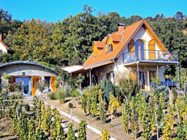 Ferienhaus Weißenstein - Bogenhaus