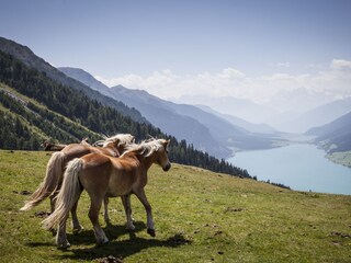 Appartamento per vacanze Nauders  16