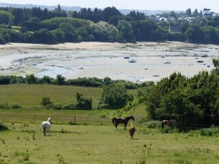 Appartement Ploubalay Environnement 13