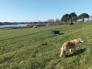 Appartamento Ploubalay Ambiente 14