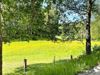 Casa per le vacanze Varekil  27