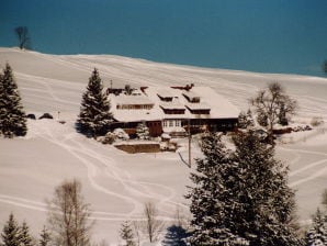 Ferienwohnung Haus "Bergwiese"  Ingeborg Wetzel - Muggenbrunn - image1