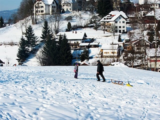 hauseigener Schlittenhang
